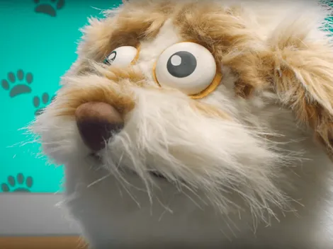 31 Minutos libera canción contra el abandono de mascotas