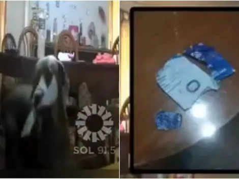 Sufre hincha de Colón: un perro se come su entrada para la final