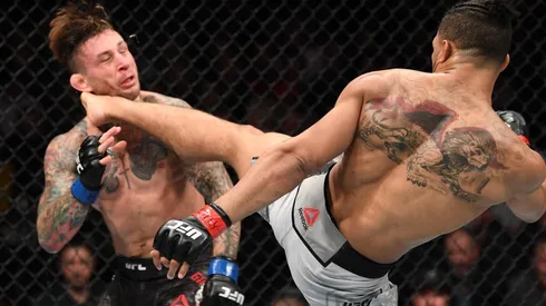 Lee manda a dormir a Gillespie con una brutal patada en UFC 244