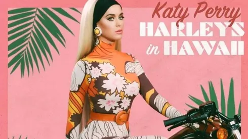 Perry contó que recuerda el momento exacto en que decidió concebir esta canción.