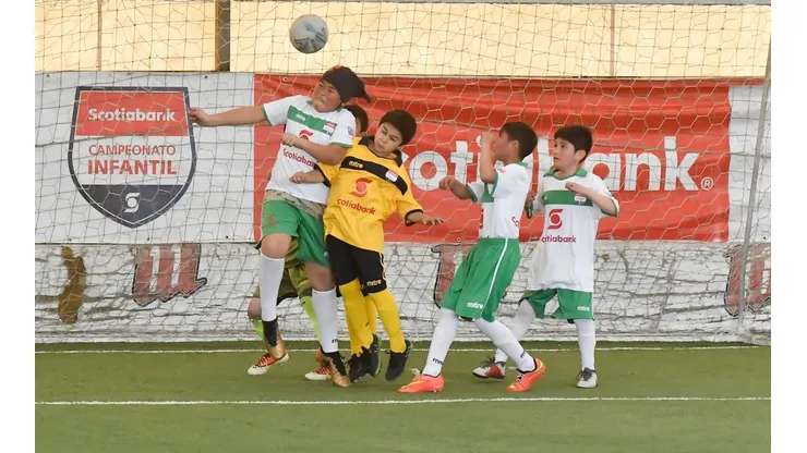 Este fin de semana conocemos al campeón del Campeonato Infantil Scotiabank de Temuco.