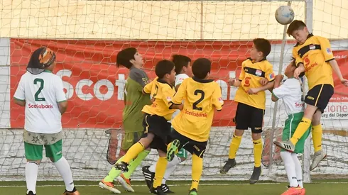 El fin de semana se define al representante de la Región de la Araucanía en el Campeonato Infantil Scotiabank.