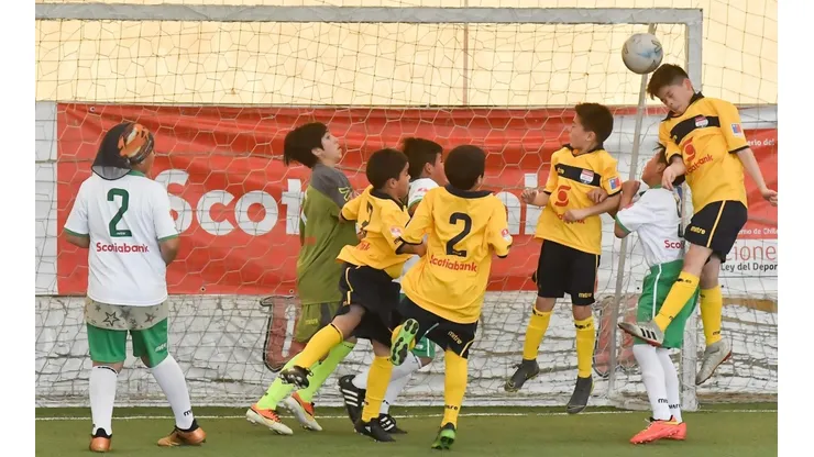 El fin de semana se define al representante de la Región de la Araucanía en el Campeonato Infantil Scotiabank.