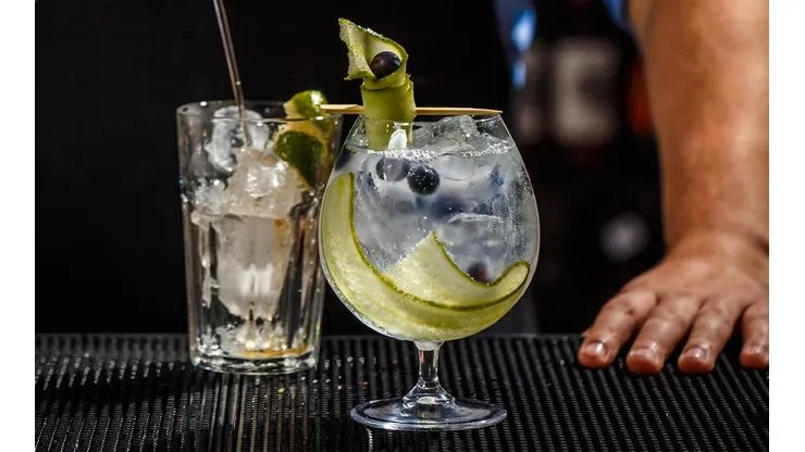 Trucos para preparar el mejor gin tonic de tu vida