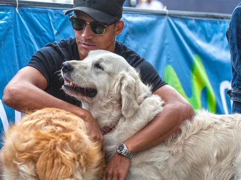 La ciencia lo comprobó: ¡El perro realmente es el mejor amigo del Hombre!