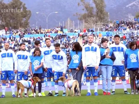 Así vivió la UC su salida a la cancha con perritos en adopción