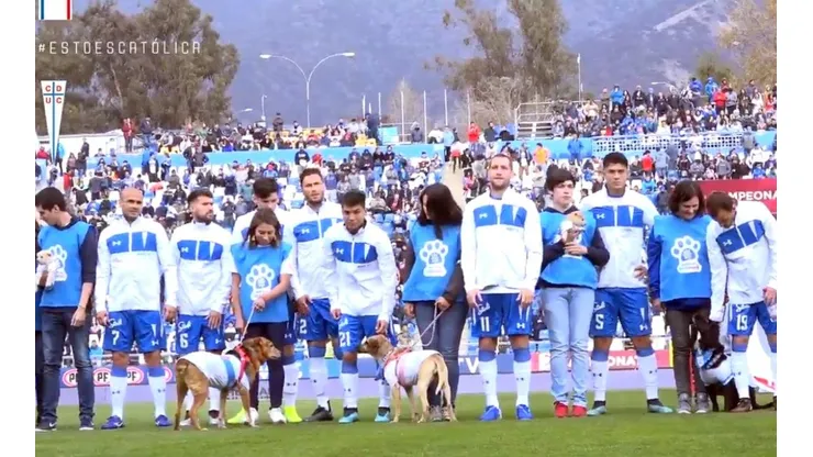 La UC y sus tiernos perritos.