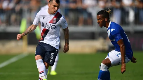 Triunfazo del Pitbull