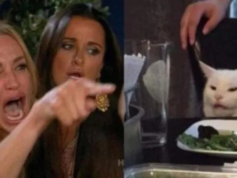 La explicación del meme del gato blanco increpado por una mujer