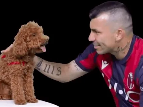 "No te metas con el Pitbull": la delirante presentación de Medel en Bologna