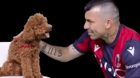 "No te metas con el Pitbull": la delirante presentación de Gary Medel en Bologna