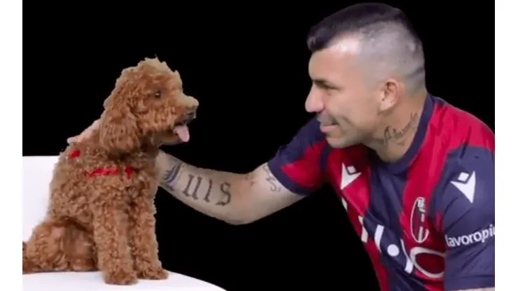 "No te metas con el Pitbull": la delirante presentación de Gary Medel en Bologna