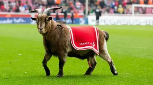 Hennes VIII será reemplazado por Hennes IX