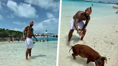 El King junto a los cerdos