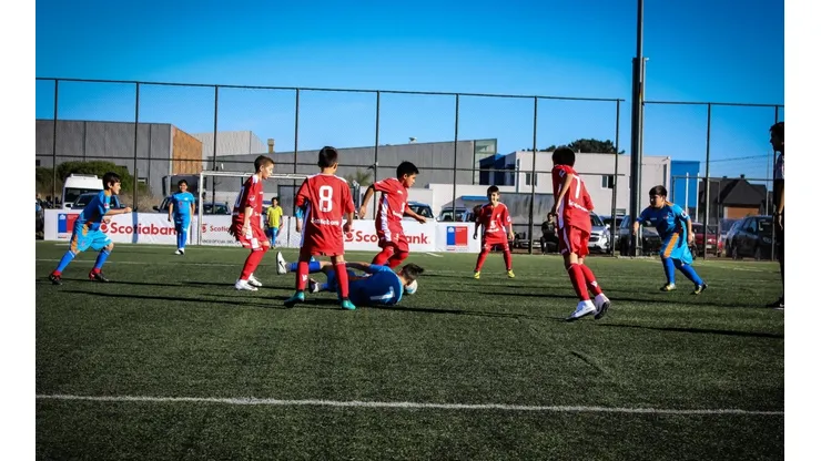 Antofagasta recibirá el Campeonato Nacional Infantil Scotiabank.