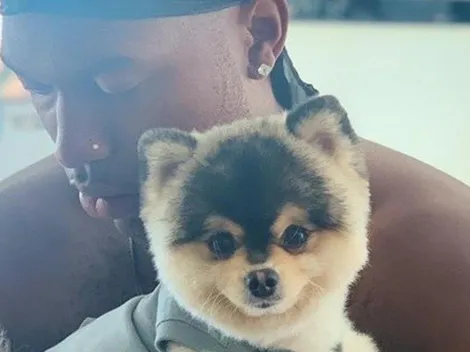 Aparece el perro perdido de Daniel Sturridge