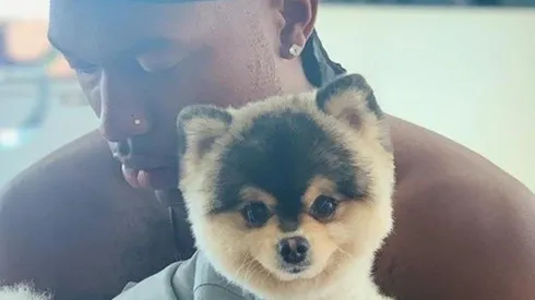 La policía encontró al perro de Daniel Sturridge (Foto: Instagram)