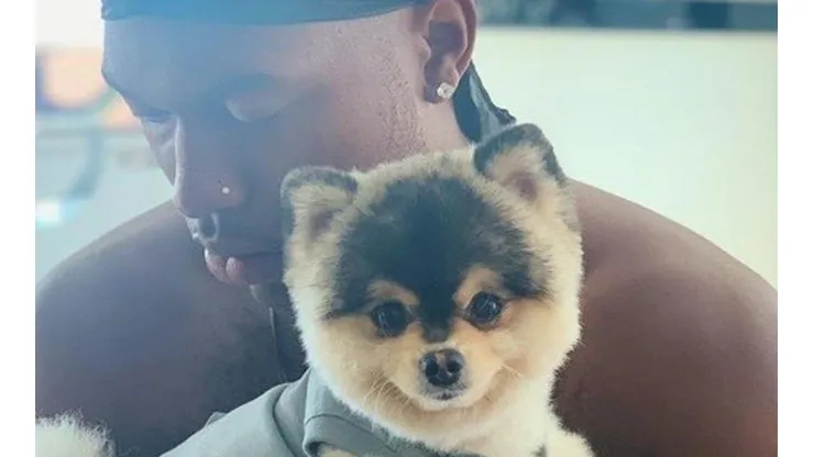 La policía encontró al perro de Daniel Sturridge (Foto: Instagram)