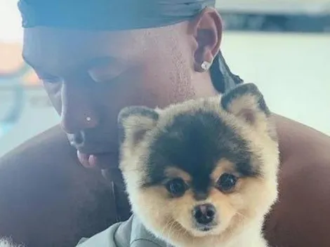 La pena de Daniel Sturridge: Le robaron su perro y ofrece millonaria recompensa