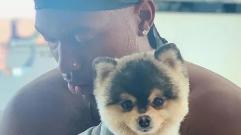 La pena de Daniel Sturridge: Le robaron su perro y ofrece millonaria recompensa