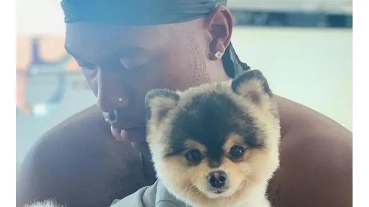La pena de Daniel Sturridge: Le robaron su perro y ofrece millonaria recompensa