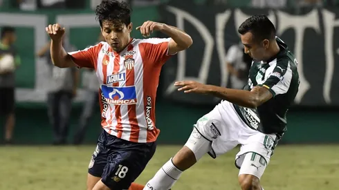 Fernández no ha podido ser titular establecido en Junior.