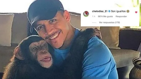 Marcelo Díaz sube al columpio a Alexis por su foto junto a un mono