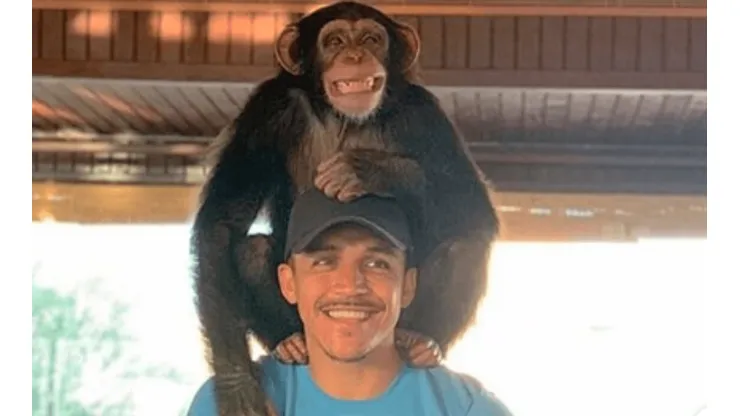 El emotivo mensaje de Alexis Sánchez junto a un mono