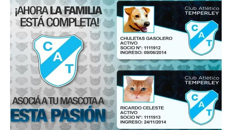Los regalones también pueden ser socios del Temperley.