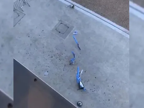 A los jugadores del Manchester City se le cae la copa de la Premier League y queda destrozada