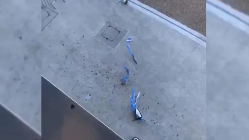 A los jugadores del Manchester City se le cae la copa de la Premier League y queda destrozada