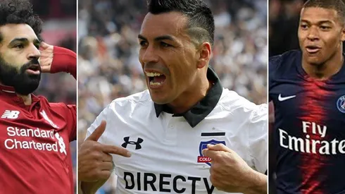 Ingleses y franceses podrían dar asesorías administrativas a los albos