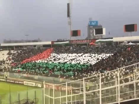 [Video] Mira el emocionante mosaico de Palestino