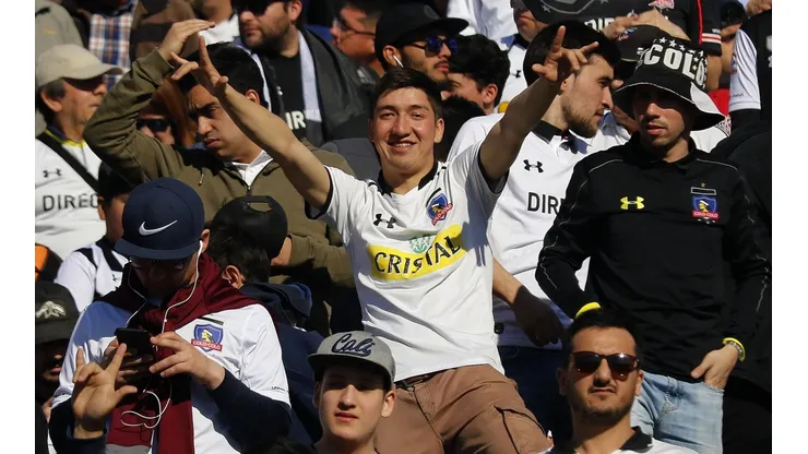 Hincha colocolino