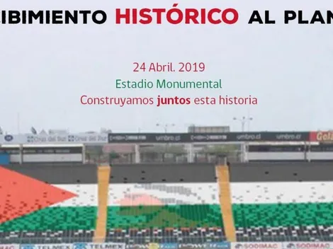 El mosaico gigante que quiere realizar Palestino en Copa Libertadores