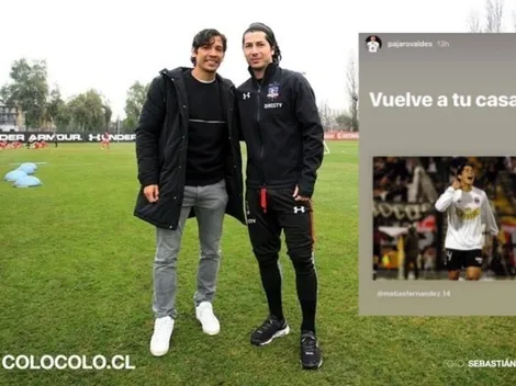 Jaime Valdés pide la vuelta de Matías Fernández