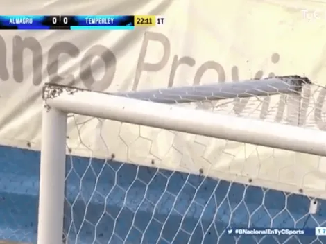 ¡Insólito! Invasión de abejas interrumpe un partido en Argentina