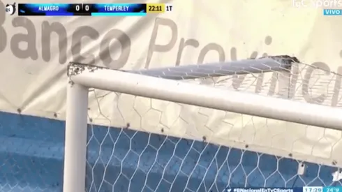 Invasión de abejas interrumpe un partido en Argentina