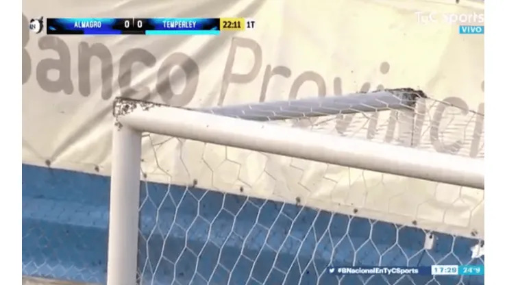 Invasión de abejas interrumpe un partido en Argentina
