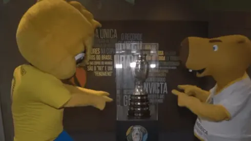 Canarinho y el capibara todavía sin nombre