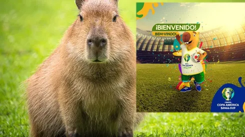 La mascota de la Copa América de Brasil 2018: un capibara.