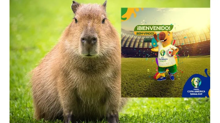 La mascota de la Copa América de Brasil 2018: un capibara.