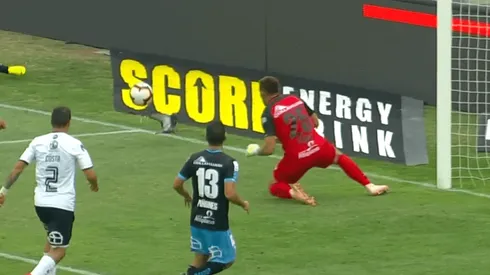 Q.E.P.D. la palomita.