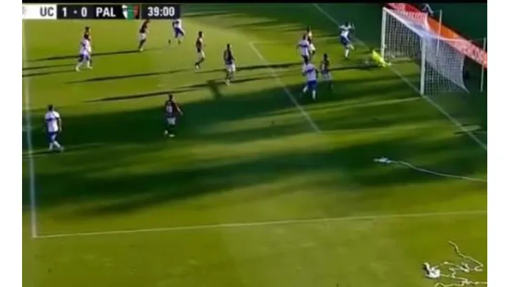 El momento de la definición de Kuscevic