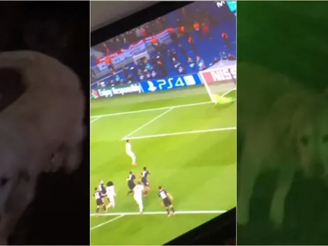 Alexis Sánchez eufórico: festejó el 1-3 del United con Atom y Humber