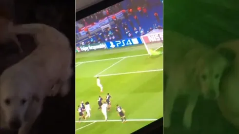 Alexis gritó el gol de la clasificación frente a la TV con Atom y Humber.