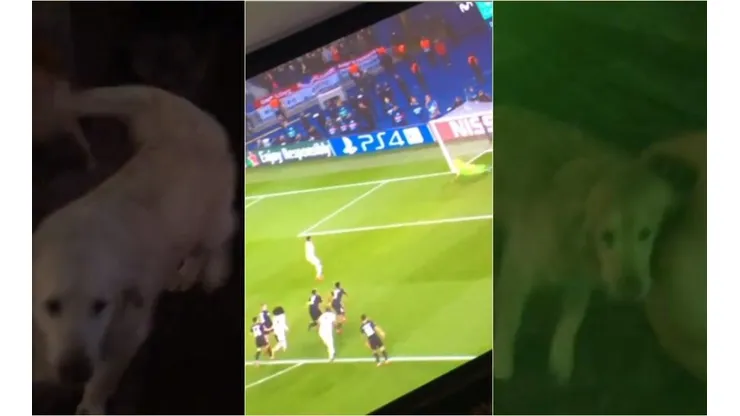 Alexis gritó el gol de la clasificación frente a la TV con Atom y Humber.
