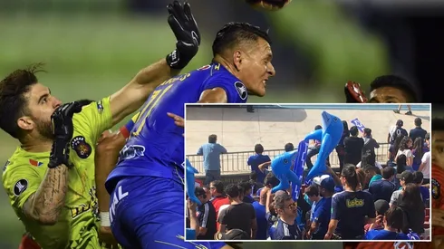 No se volverán a ver los delfines inflables en Chile