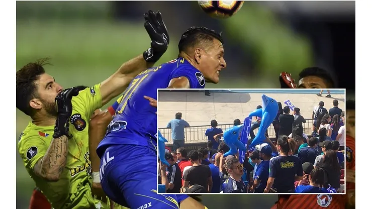 No se volverán a ver los delfines inflables en Chile