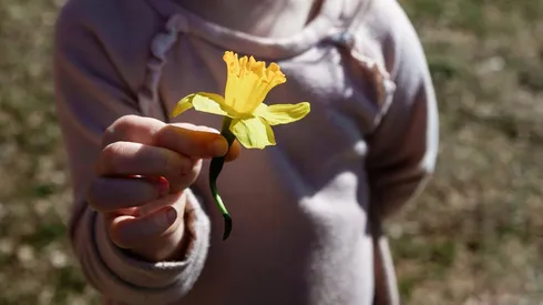 Niño sosteniendo una flor amarilla de narciso